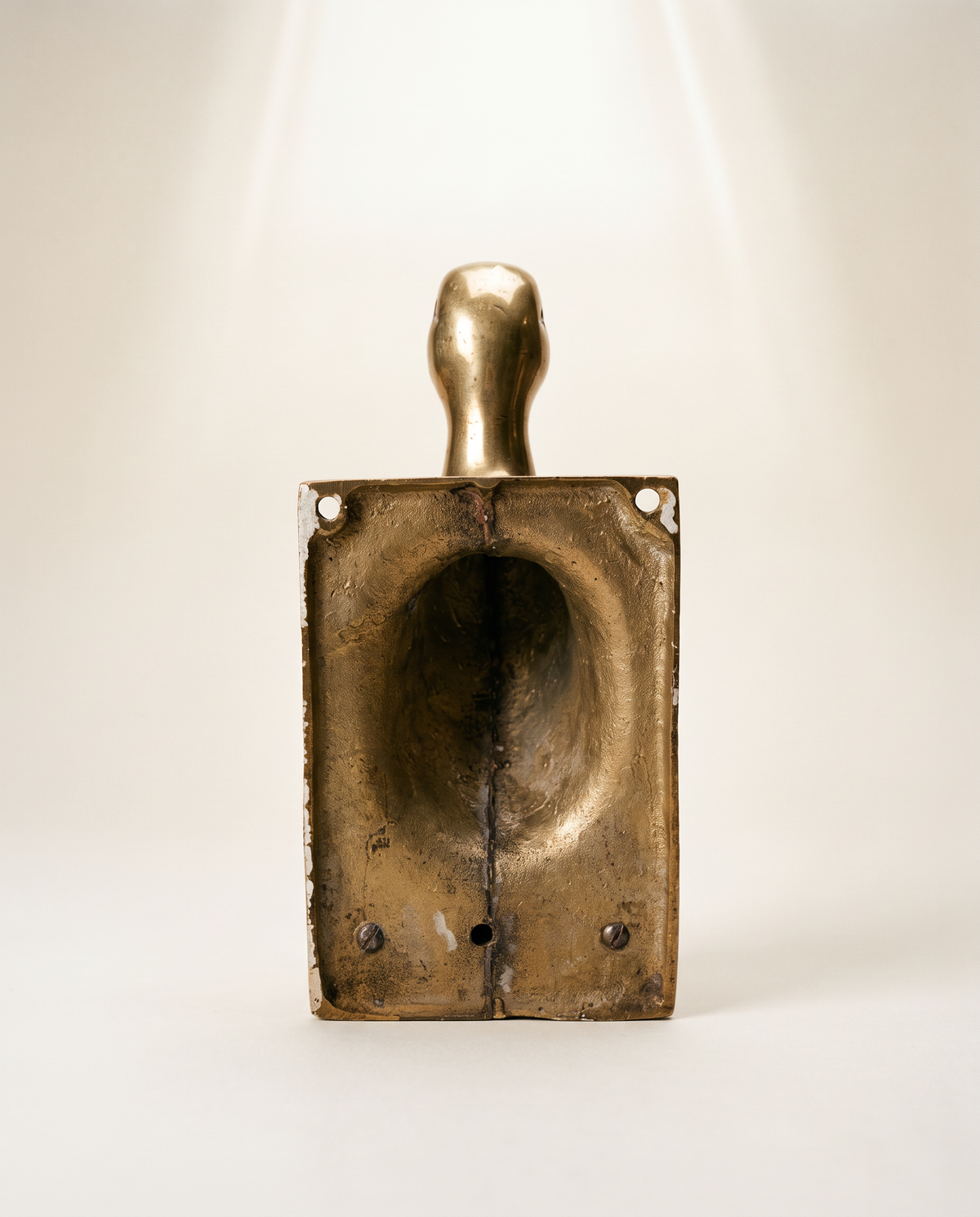 Vintage Brass Duck Wall Hook