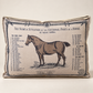 Horse Study Decorative Pillow