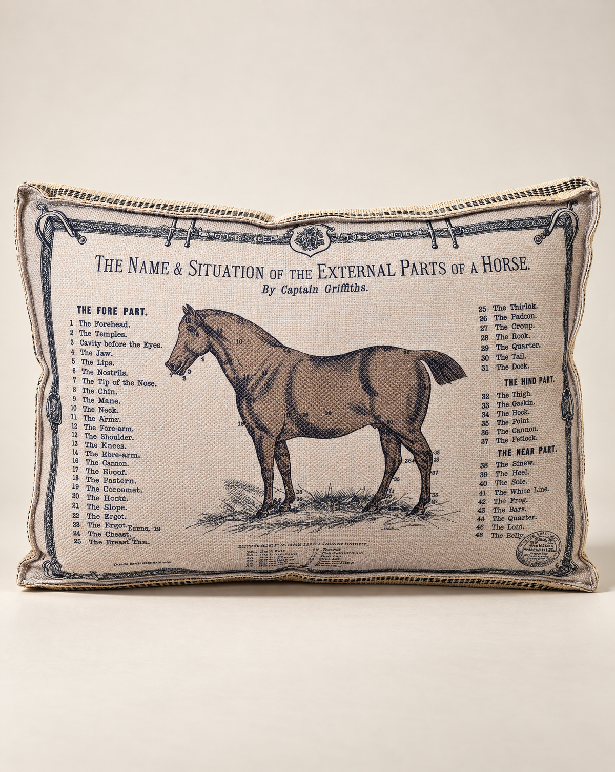 Horse Study Decorative Pillow
