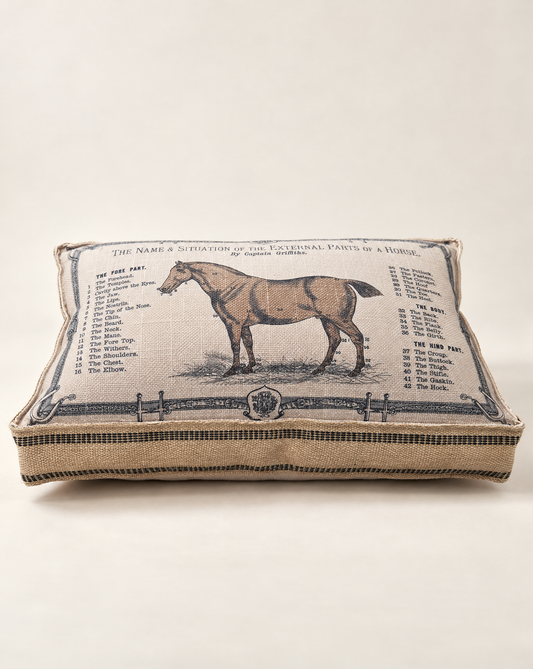 Horse Study Decorative Pillow