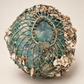 Vintage Glass Fishing Float with Rope Netting & Barnacles