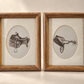 Vintage Framed Western Tack Illustration
