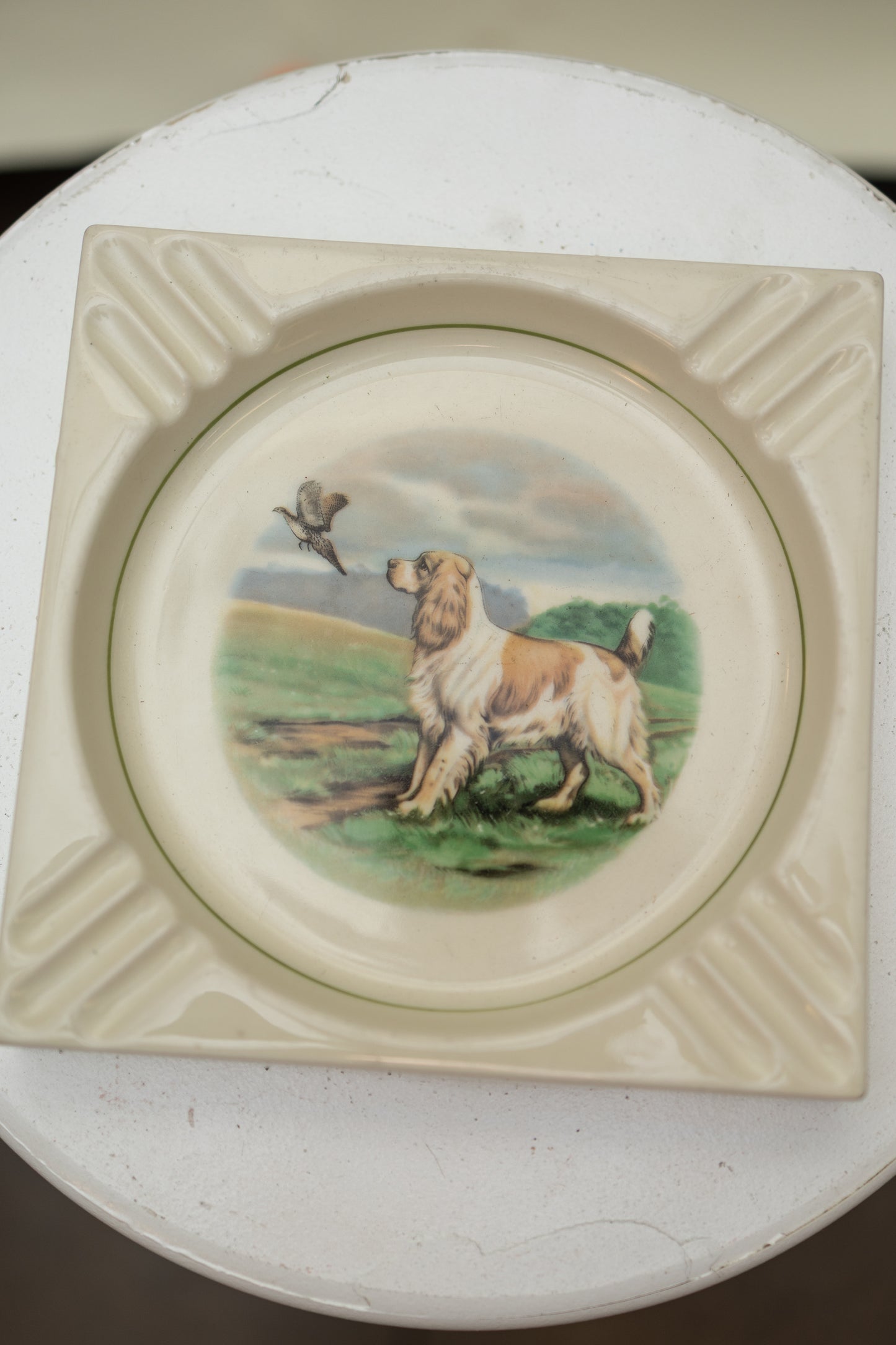 English Pointer Ashtray