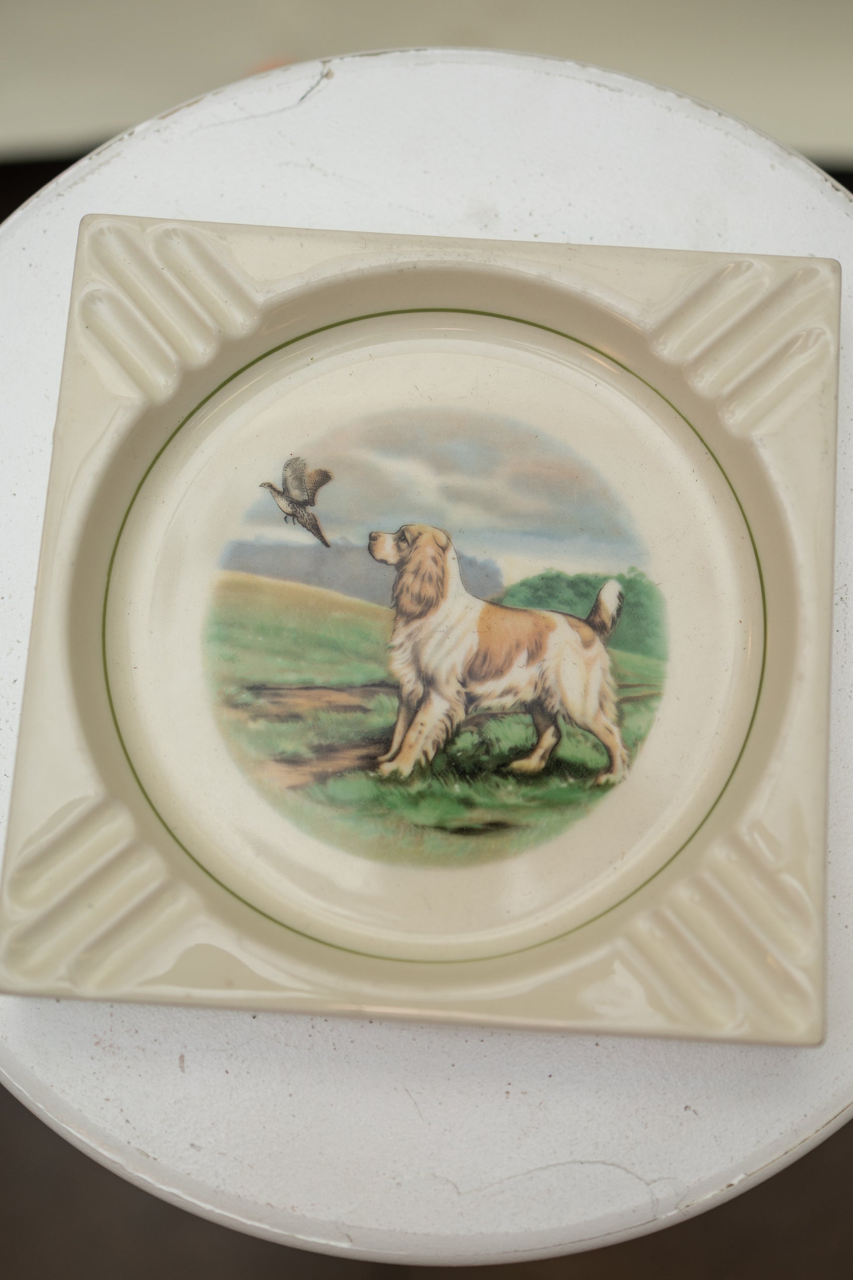 English Pointer Ashtray