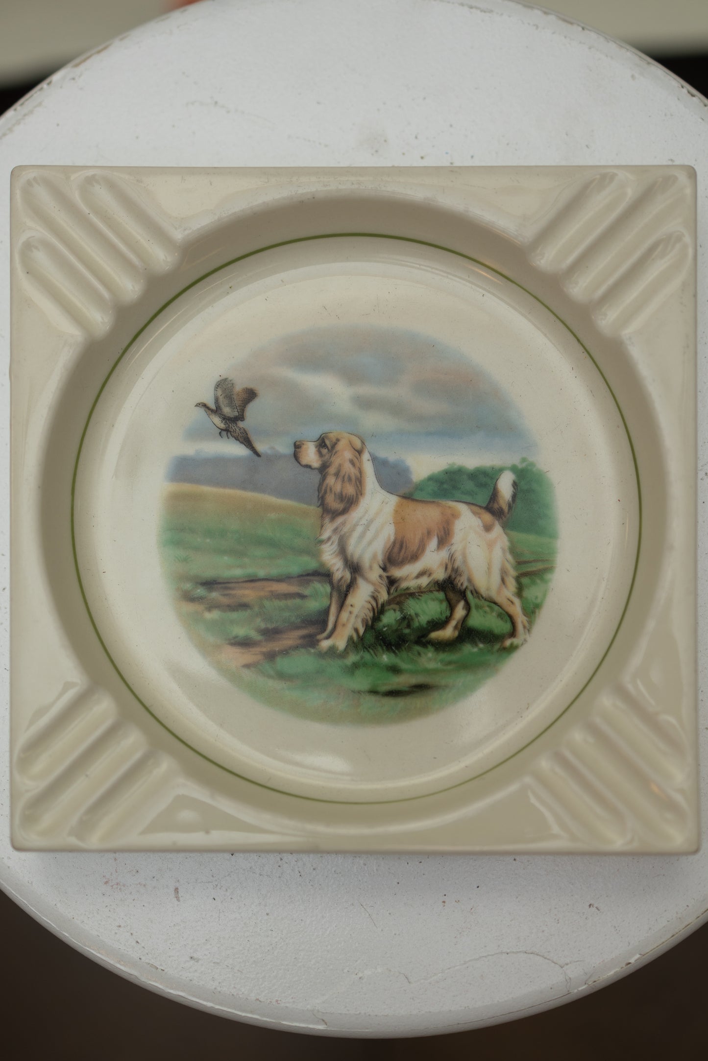 English Pointer Ashtray