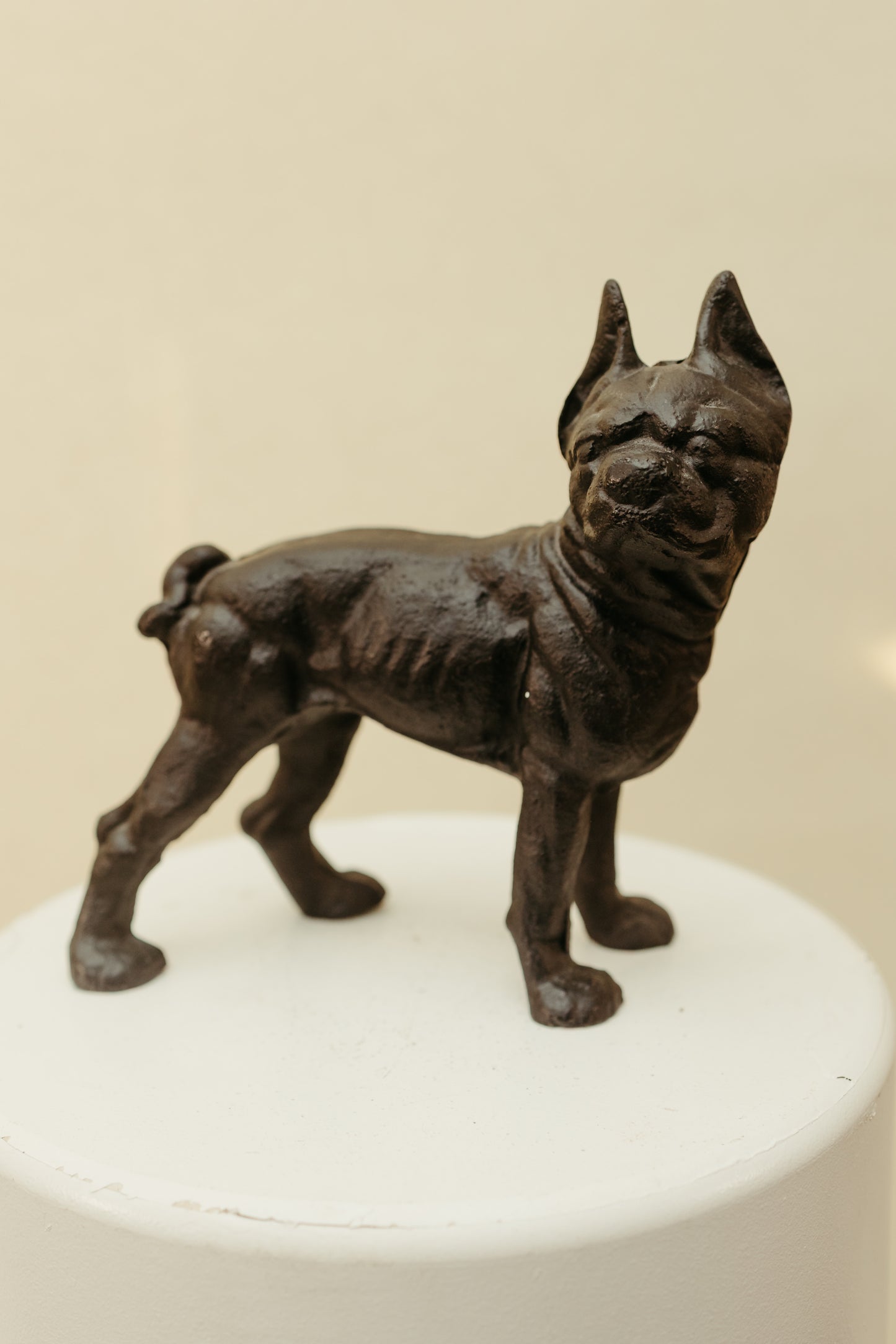 Cast Iron Bulldog Doorstop *COMING SOON*