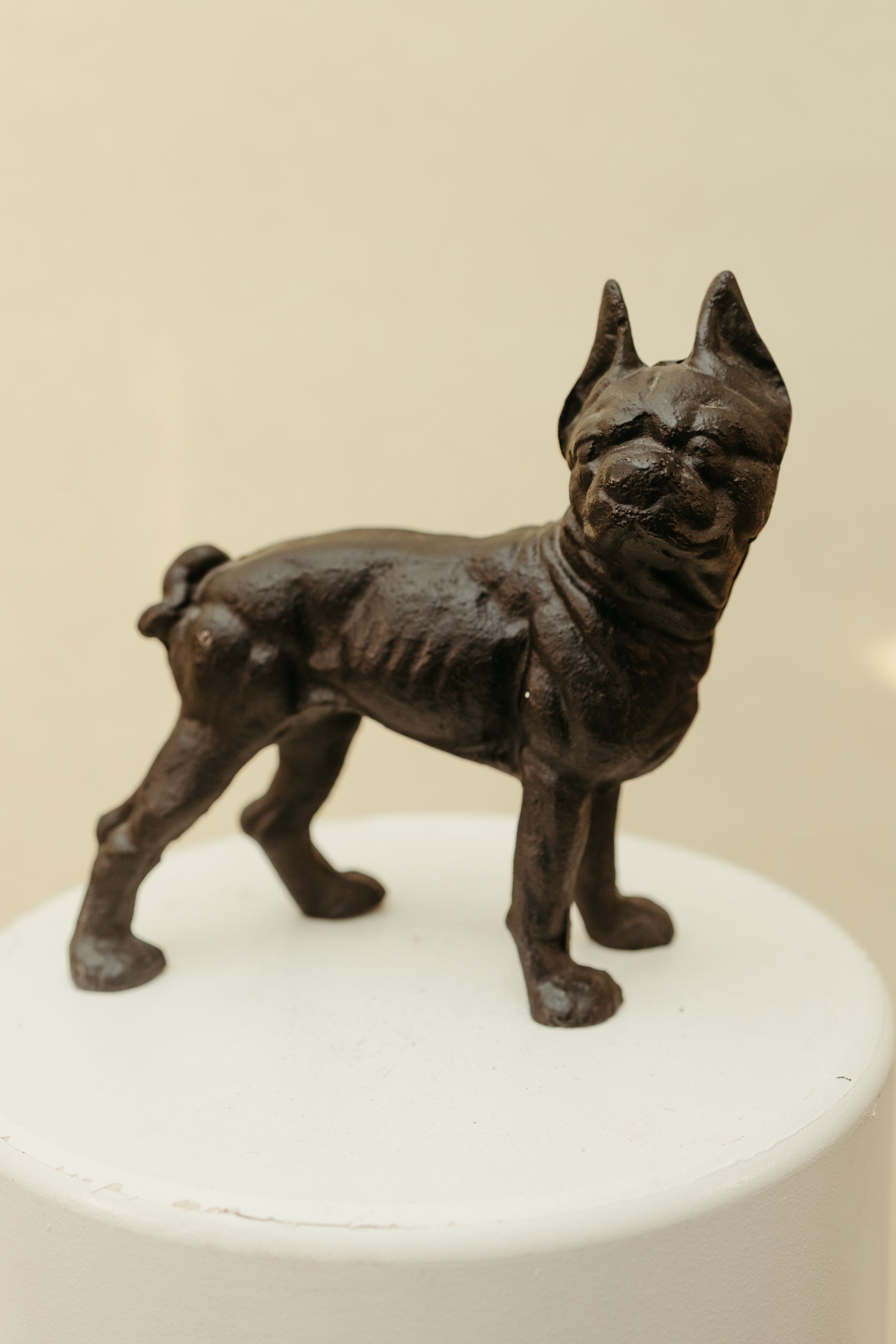 Cast Iron Bulldog Doorstop *COMING SOON*