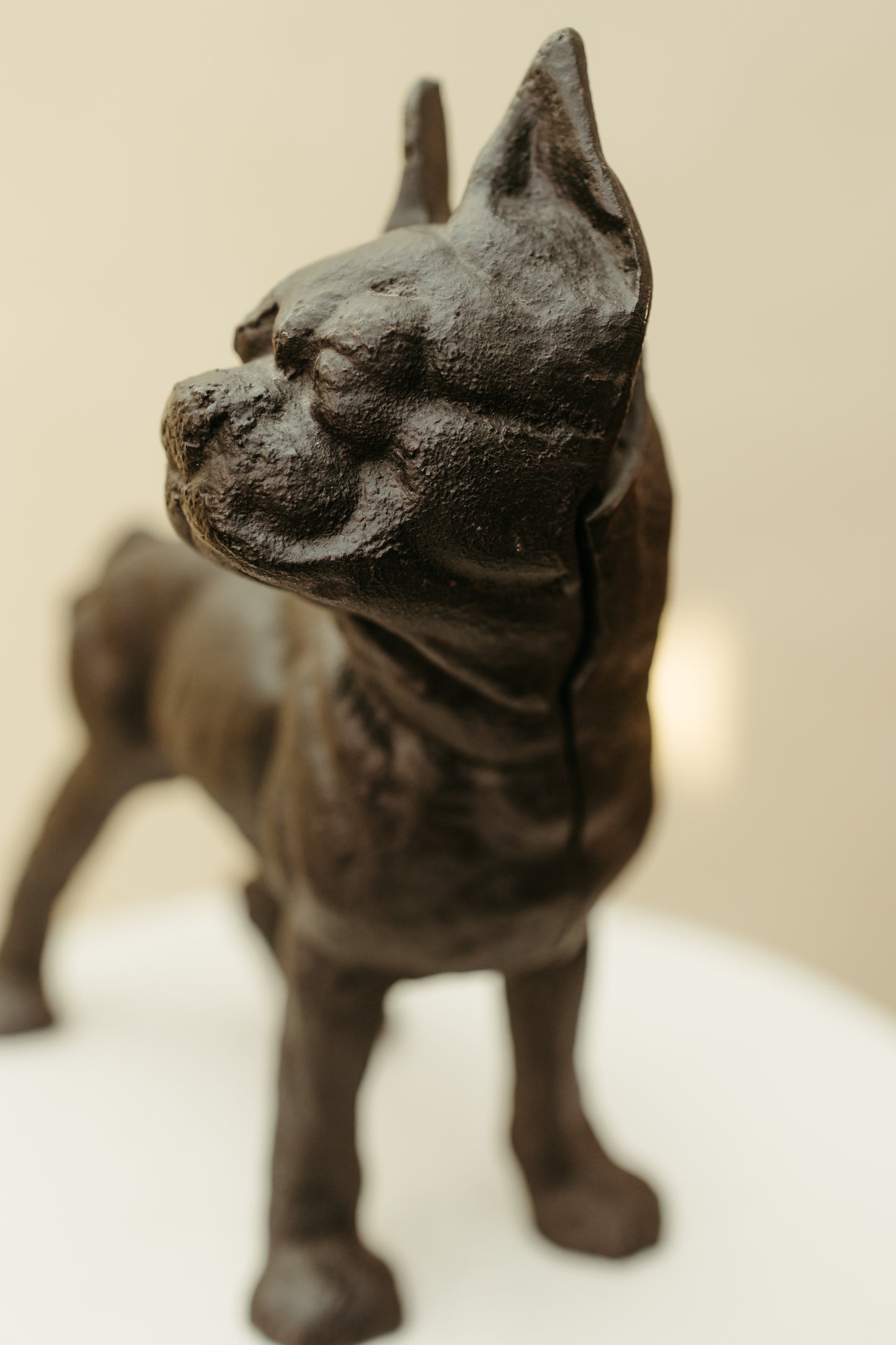 Cast Iron Bulldog Doorstop *COMING SOON*