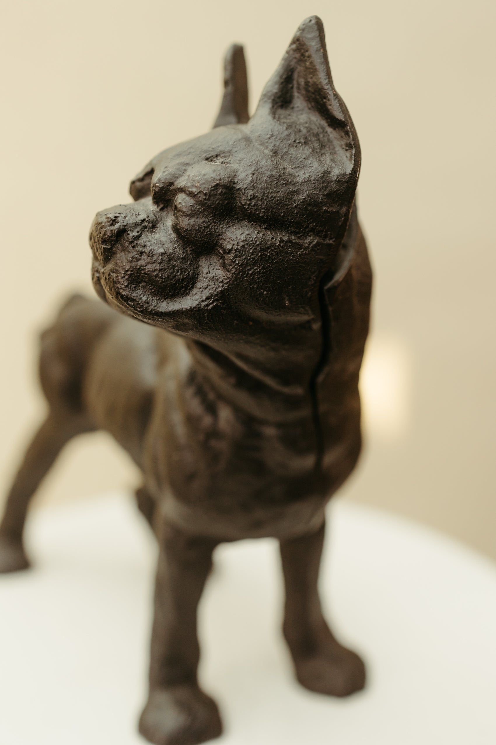 Cast Iron Bulldog Doorstop *COMING SOON*