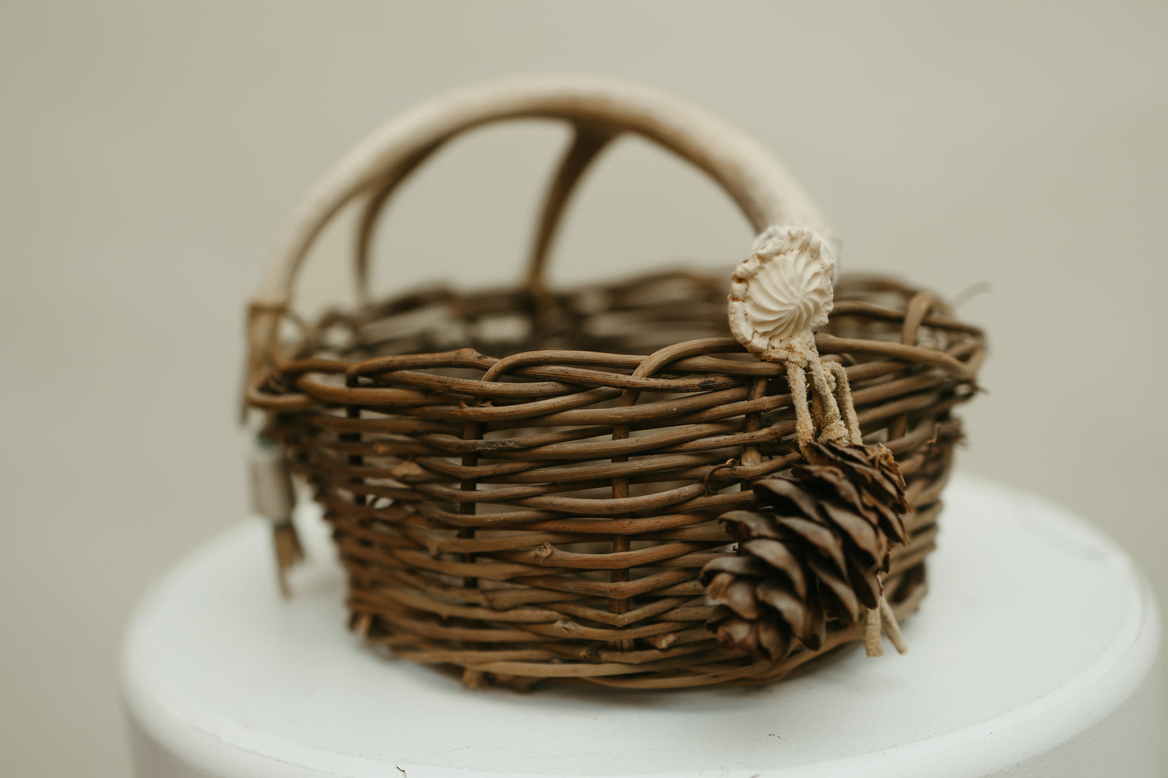Handwoven Basket with Shed Antler Handle