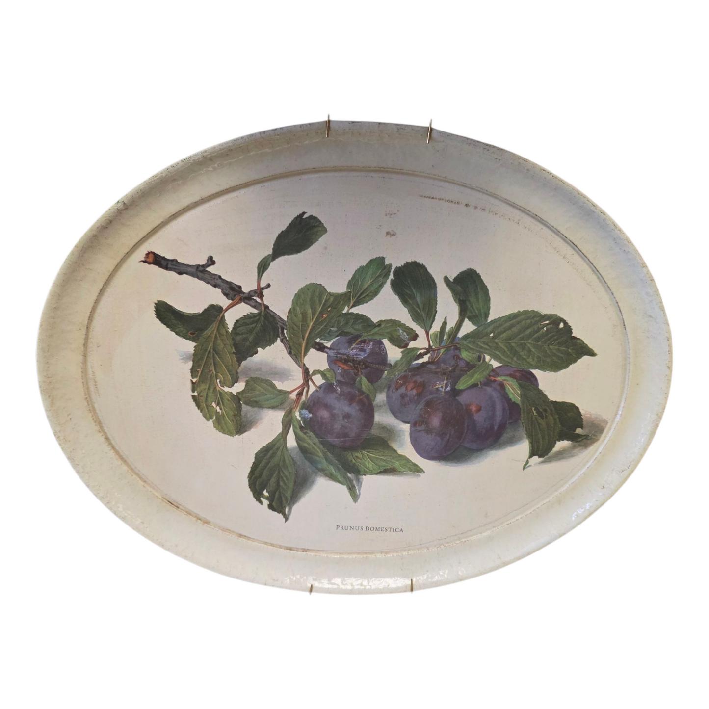 Plum Oval Tray