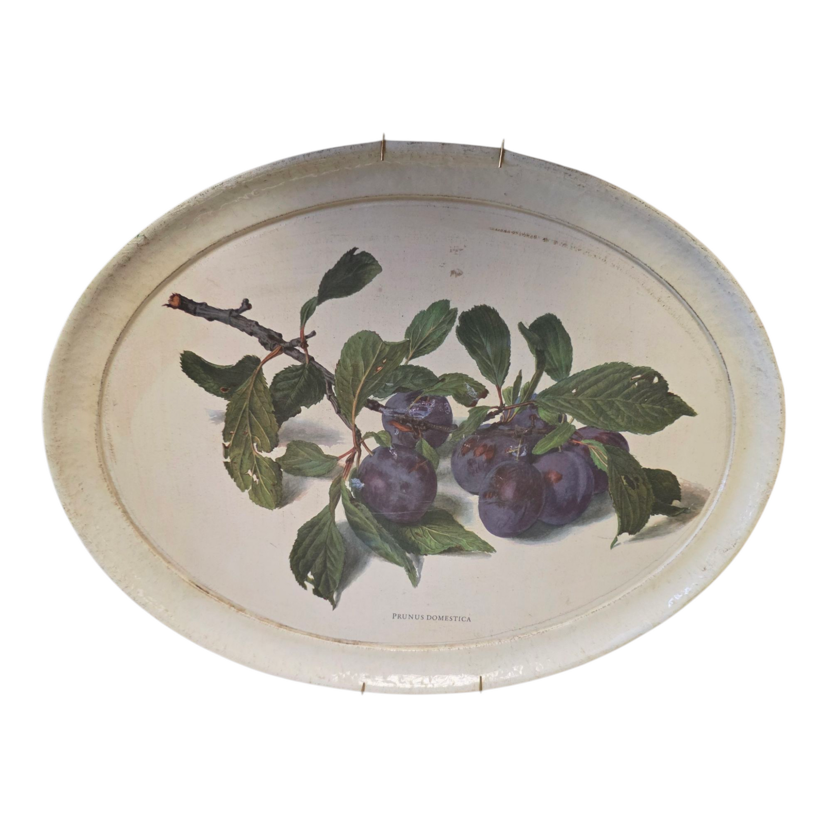 Plum Oval Tray