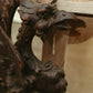 Antique Hand-Carved Griffin Brackets (Pair)