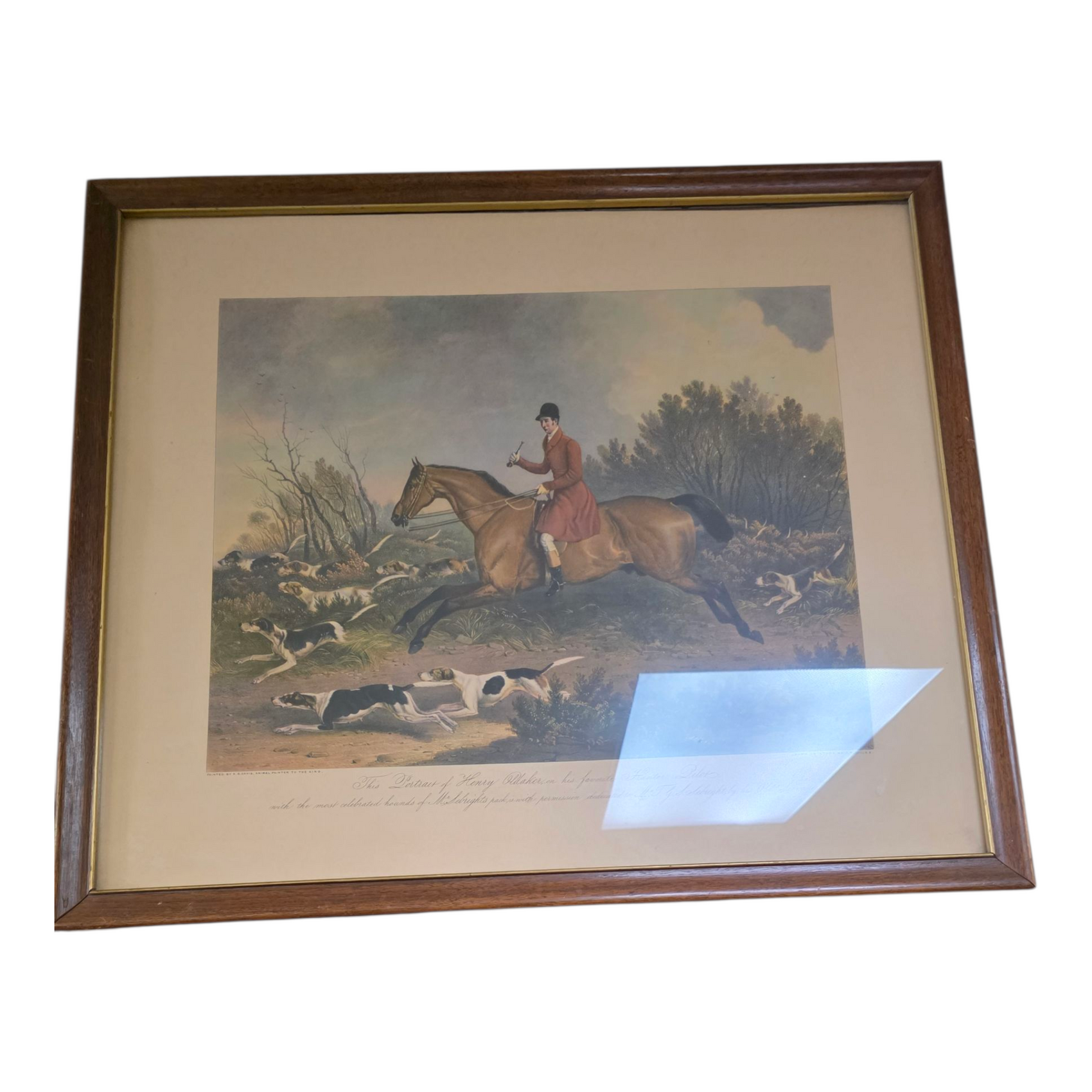 Fox Hunting Scene
