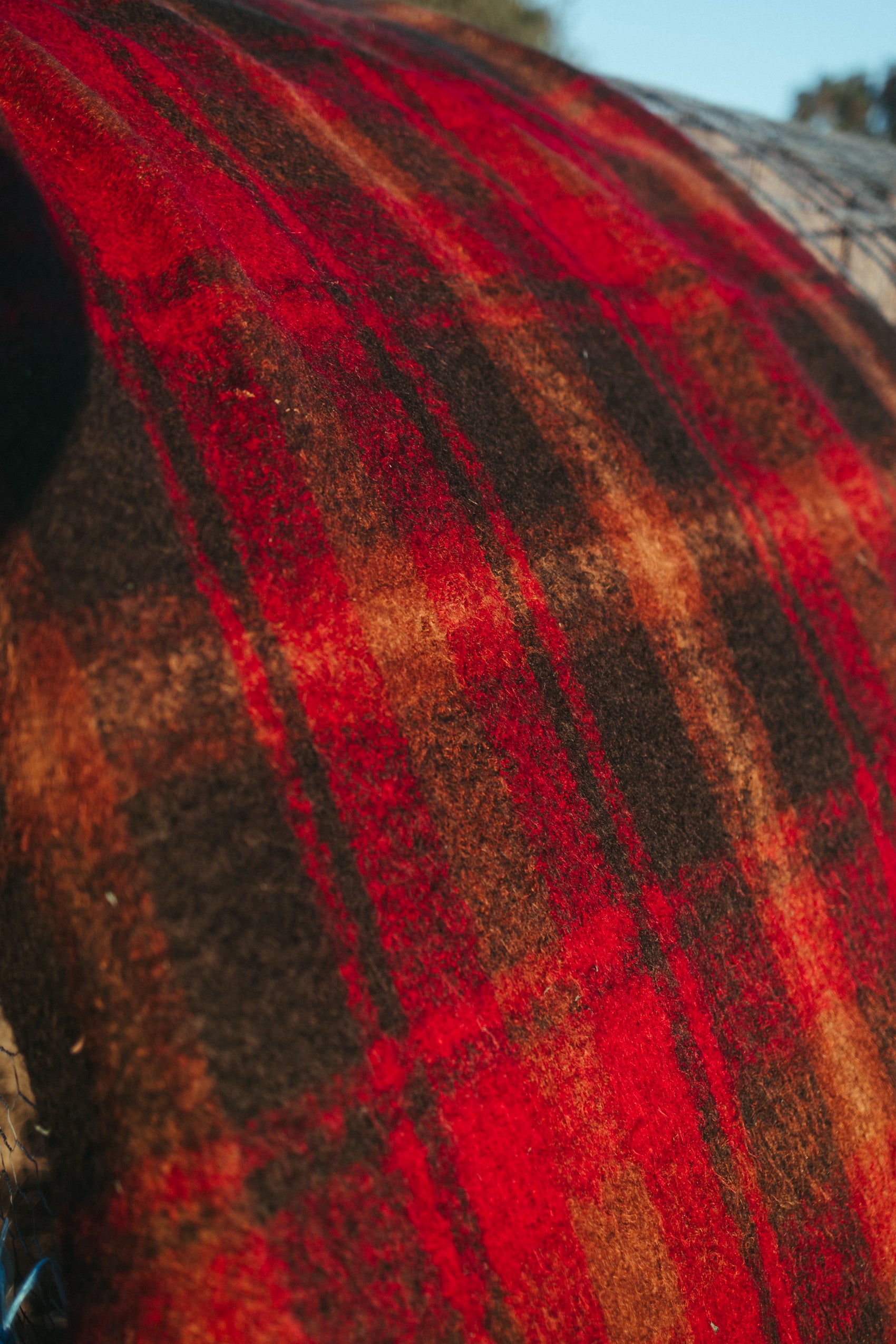 Vintage Glen Cree Mohair Wool Blanket – Scotland (100% Mohair)