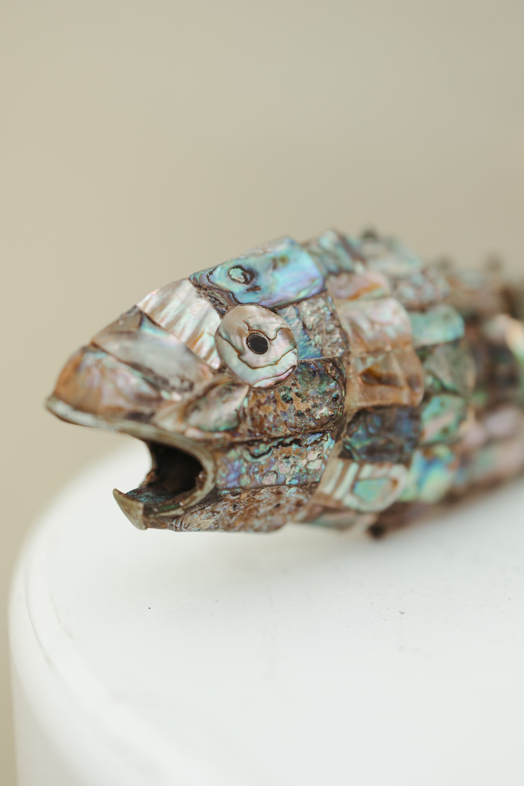 Abalone Fish Bottle Opener