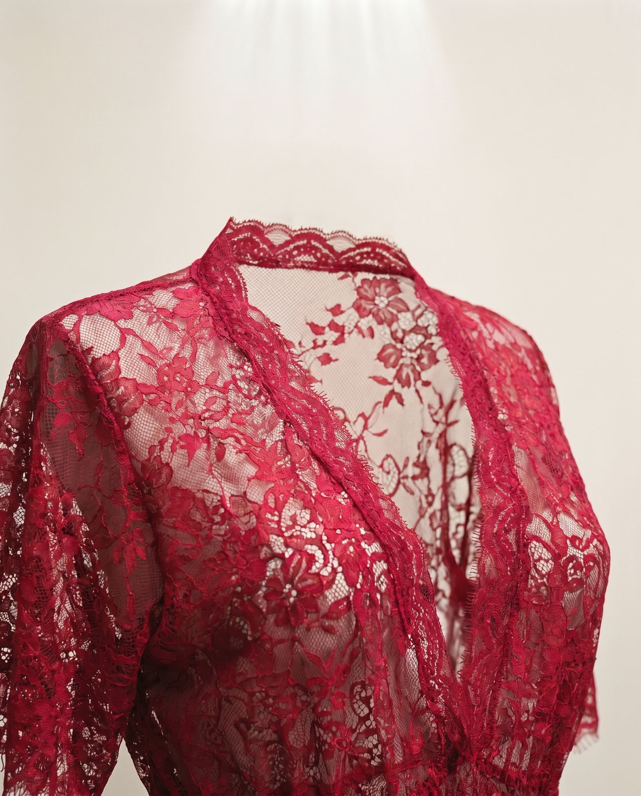 Vintage Red Lace Sheer Robe / Duster with Ribbon Tie