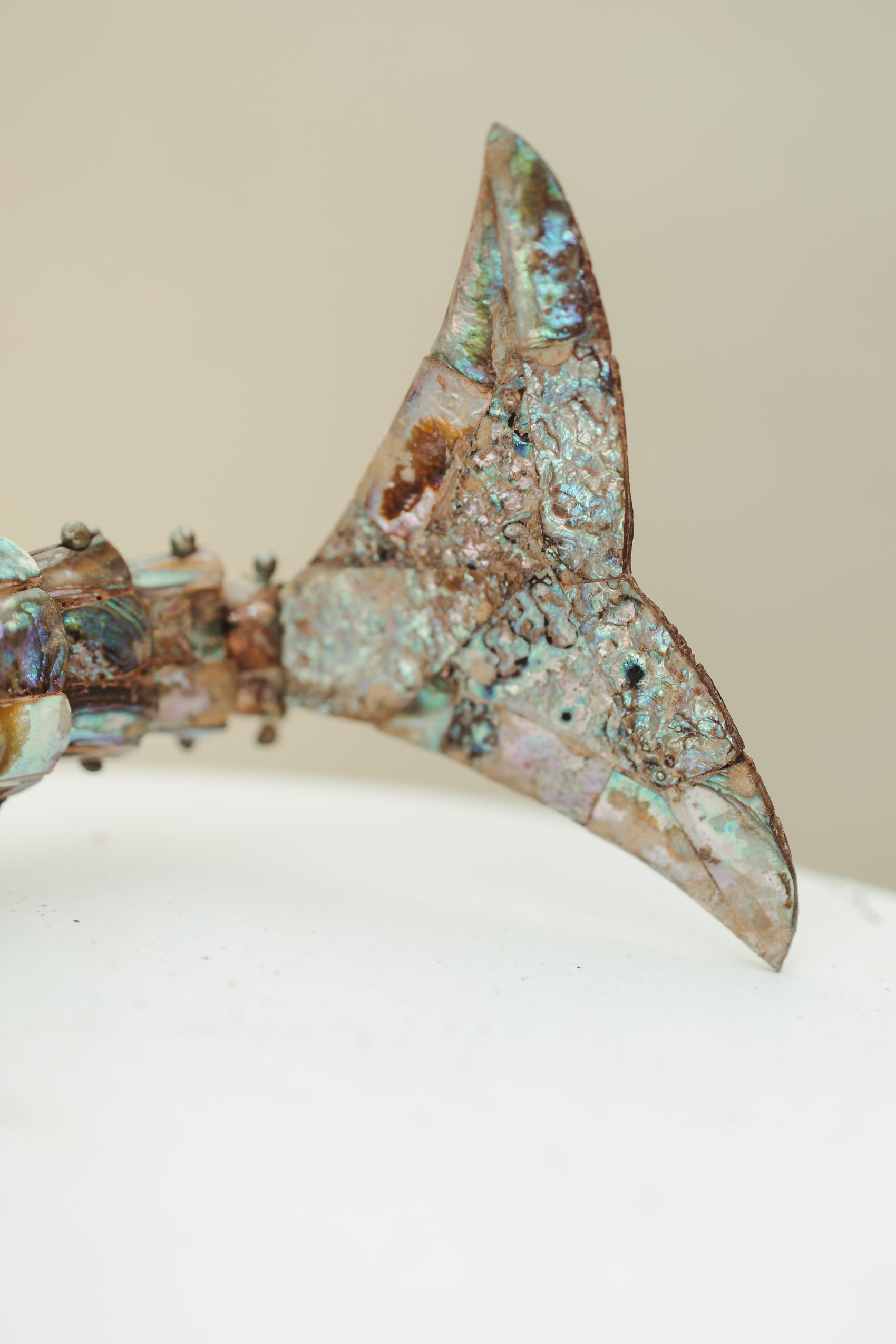 Abalone Fish Bottle Opener