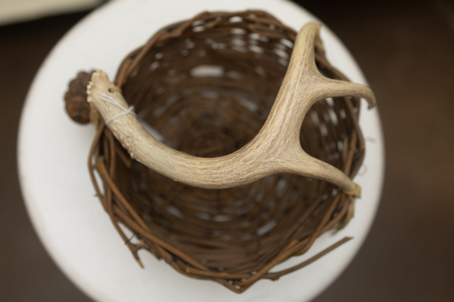 Handwoven Basket with Shed Antler Handle