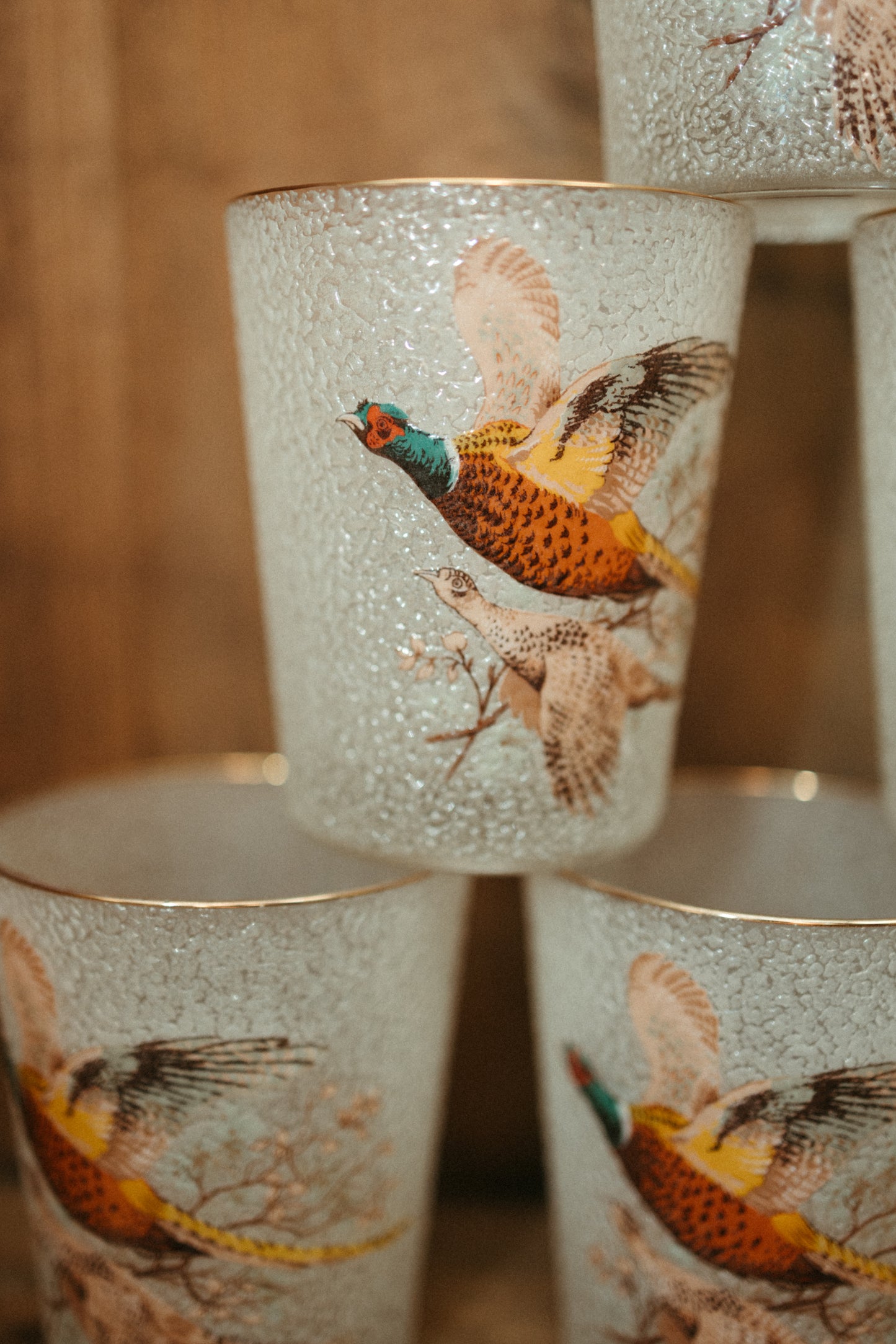 Vintage Pheasant Highball Glasses — Set of 6
