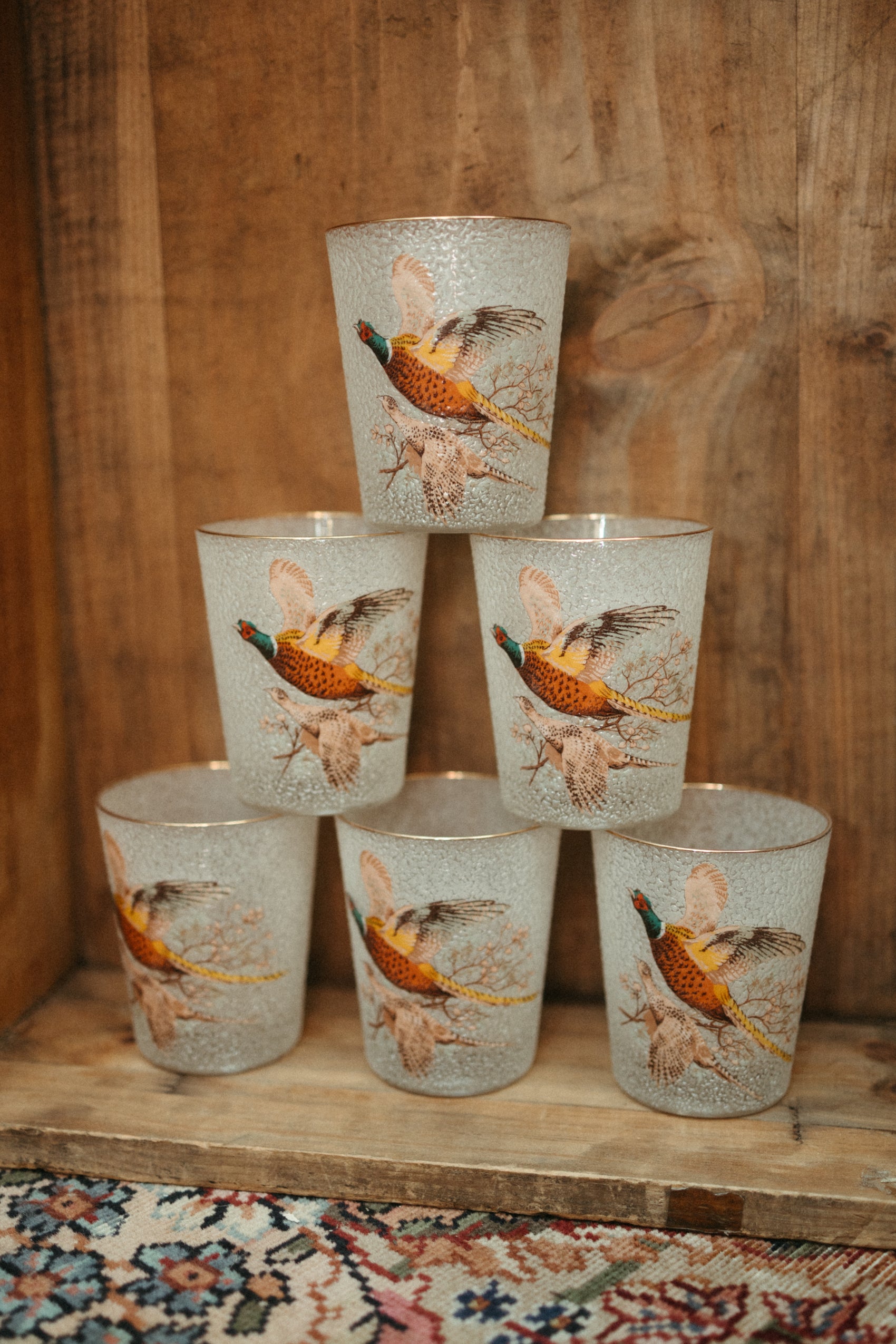 Vintage Pheasant Highball Glasses — Set of 6