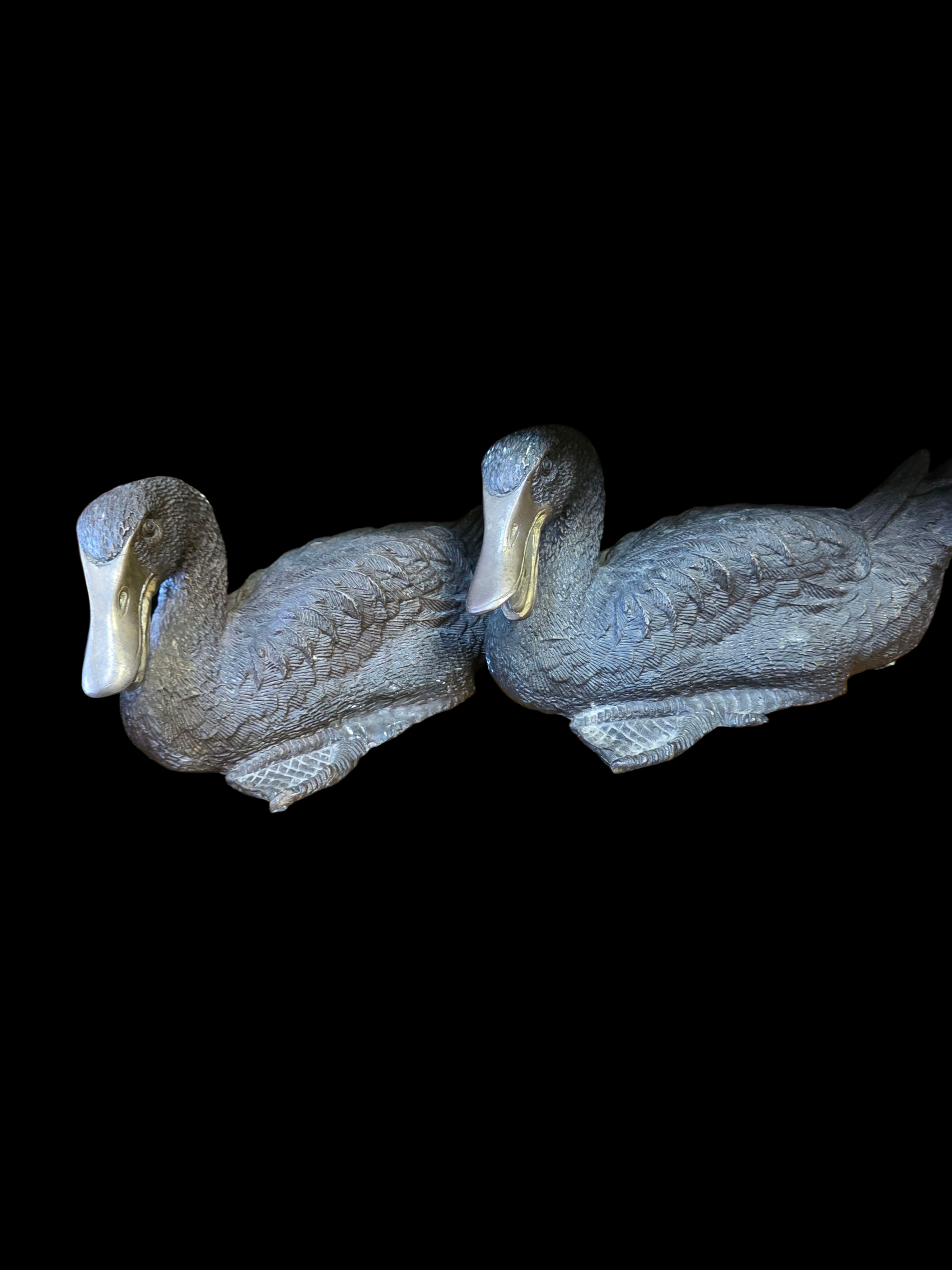 Duck Decoy Pair