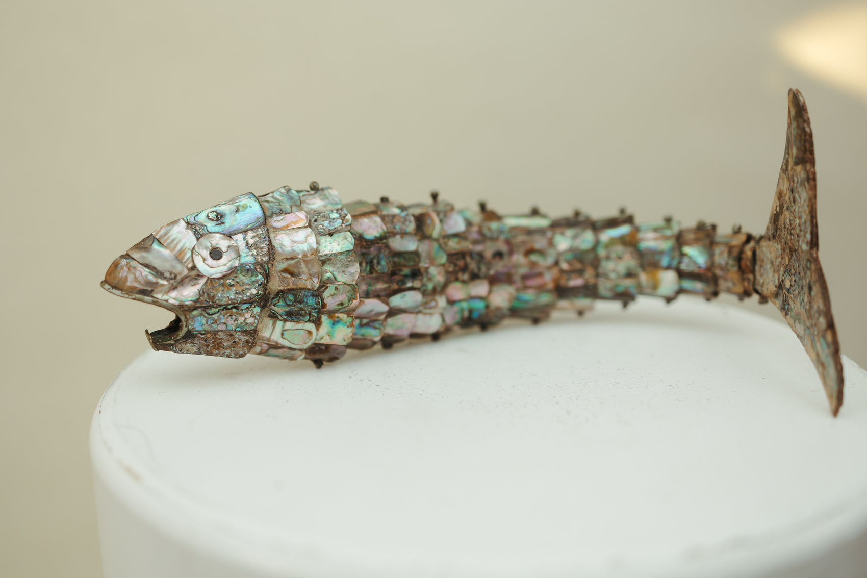 Abalone Fish Bottle Opener