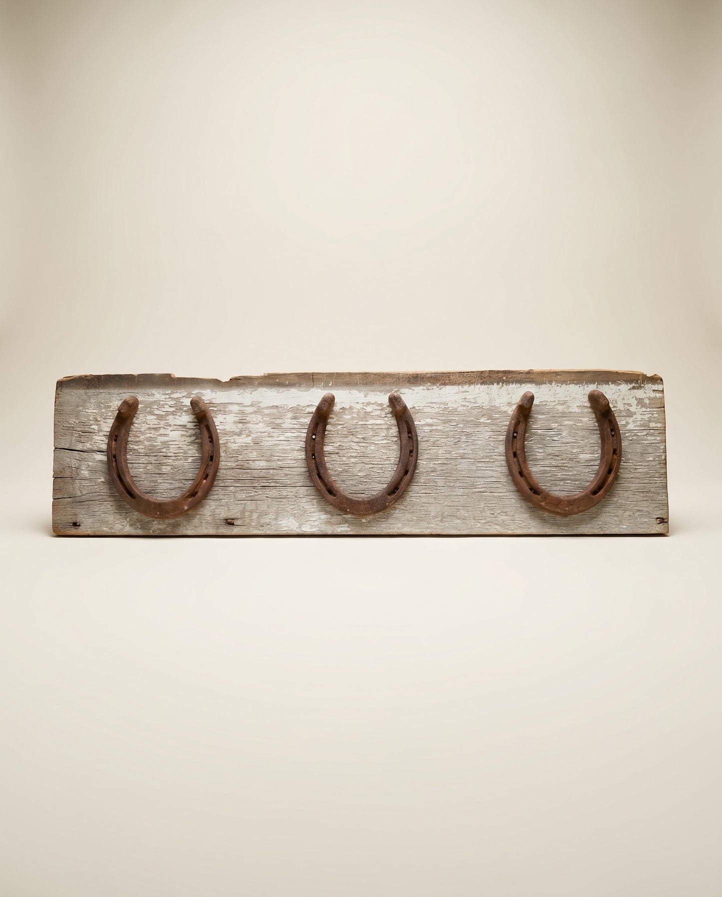 Rustic Horseshoe Wall Decor