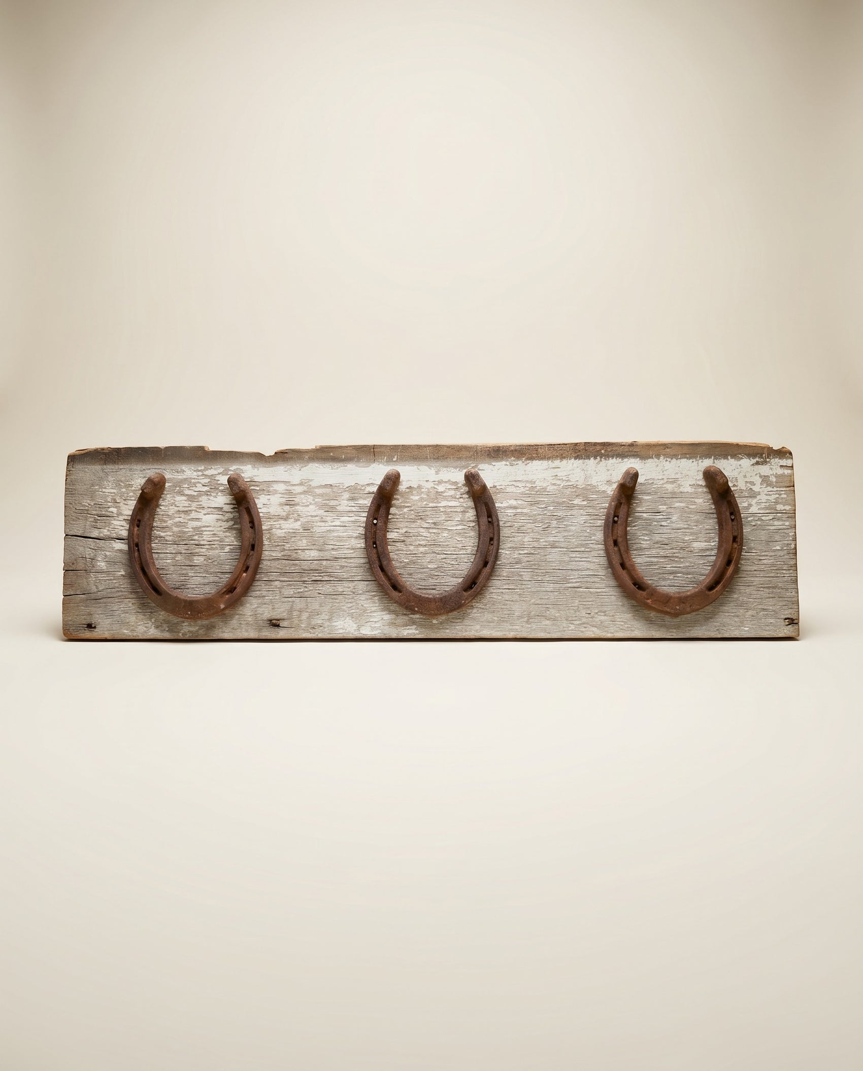 Rustic Horseshoe Wall Decor