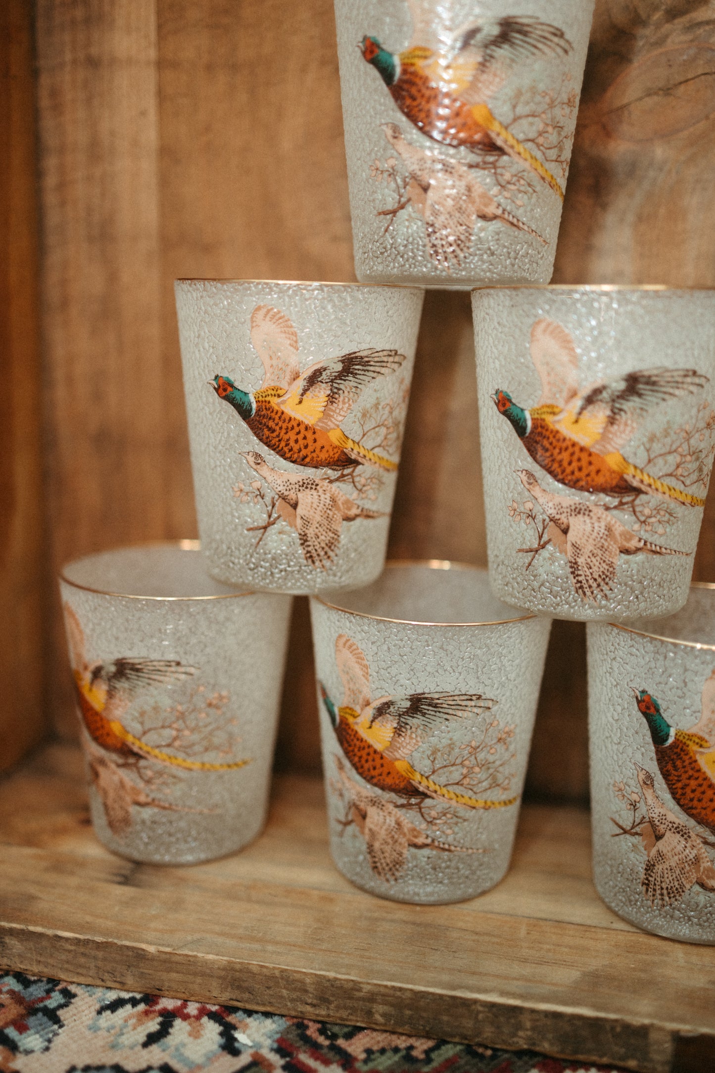 Vintage Pheasant Highball Glasses — Set of 6