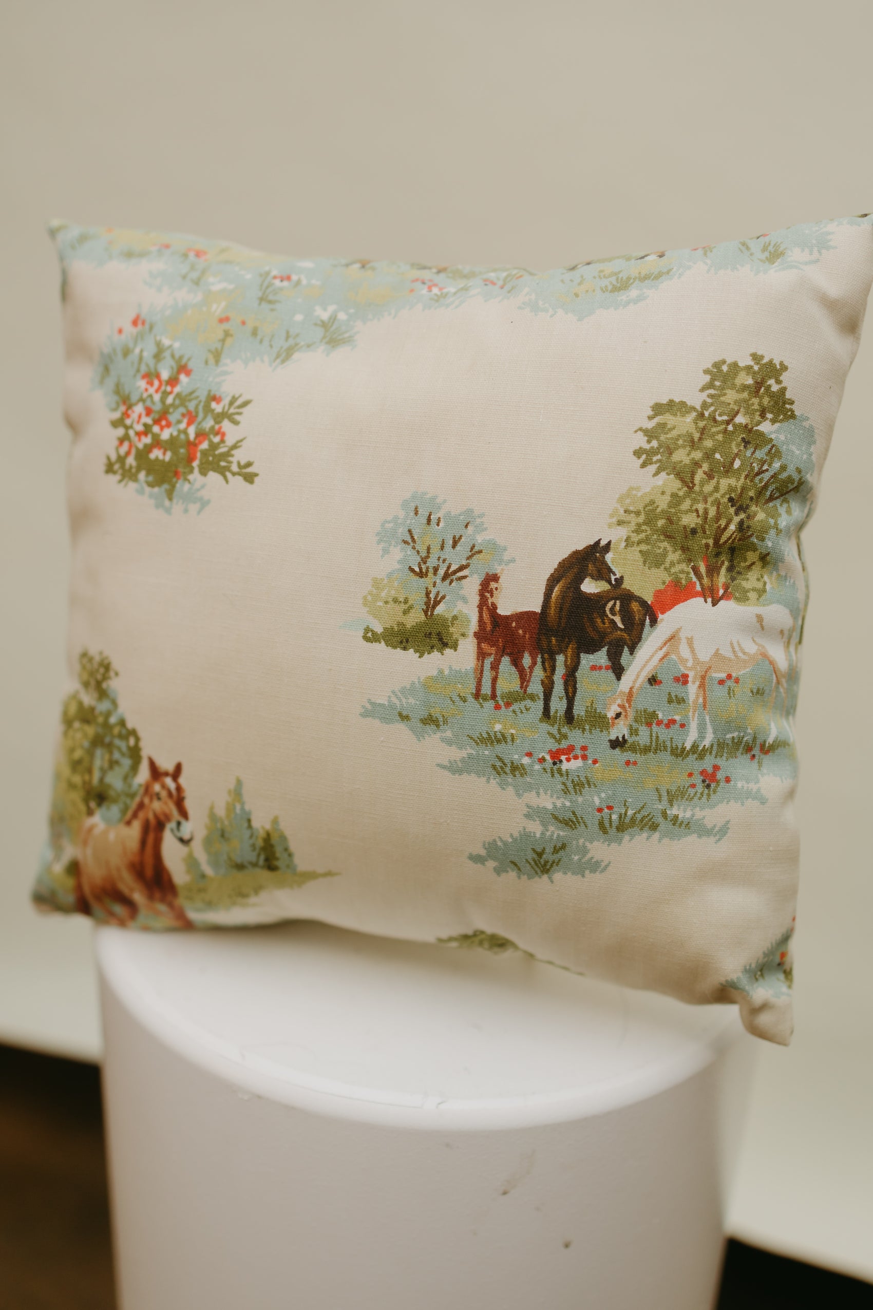 Pastoral Horse Meadow Pillow