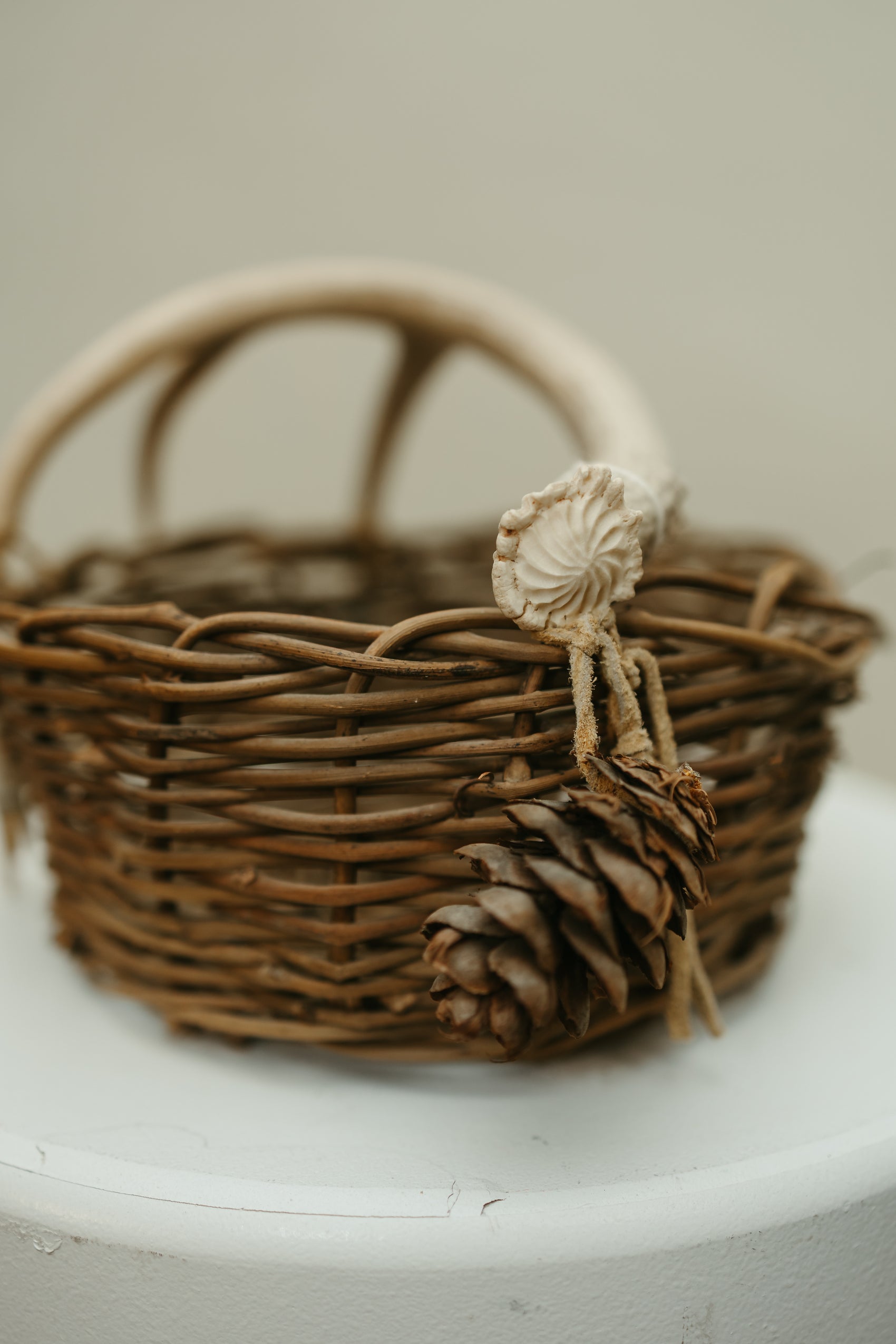 Handwoven Basket with Shed Antler Handle