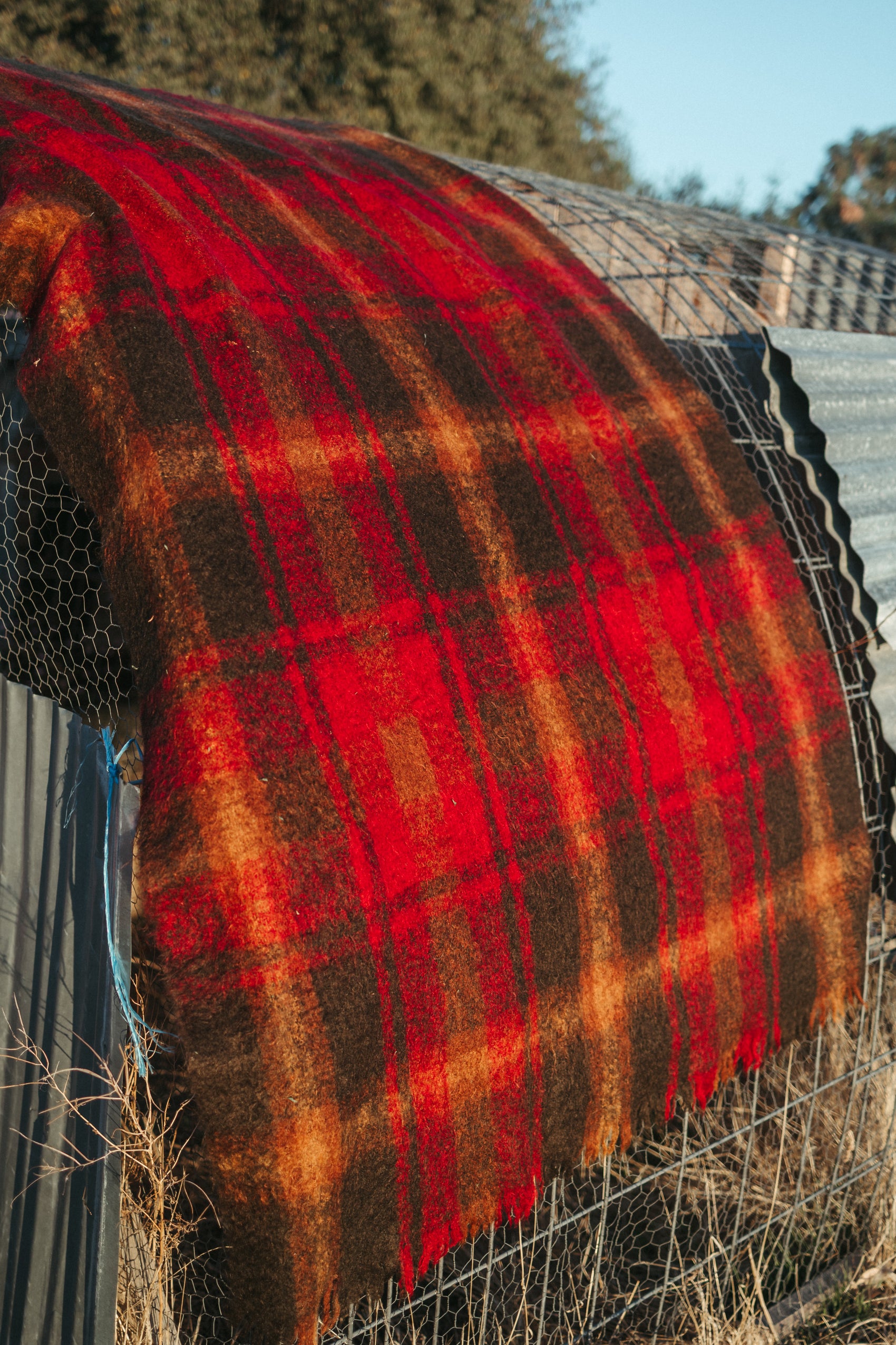 Vintage Glen Cree Mohair Wool Blanket – Scotland (100% Mohair)